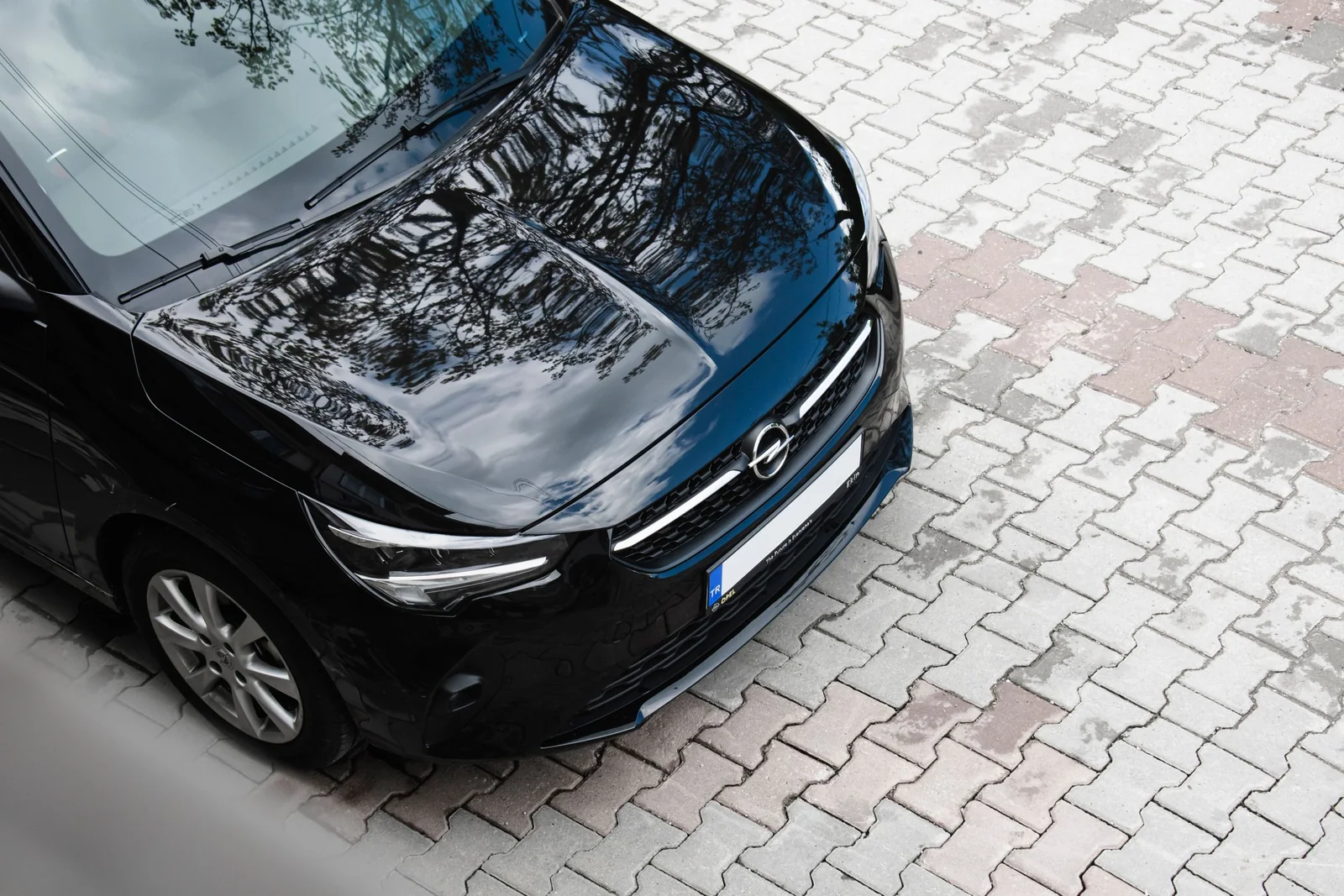 Trees reflected in a black car’s glossy paint