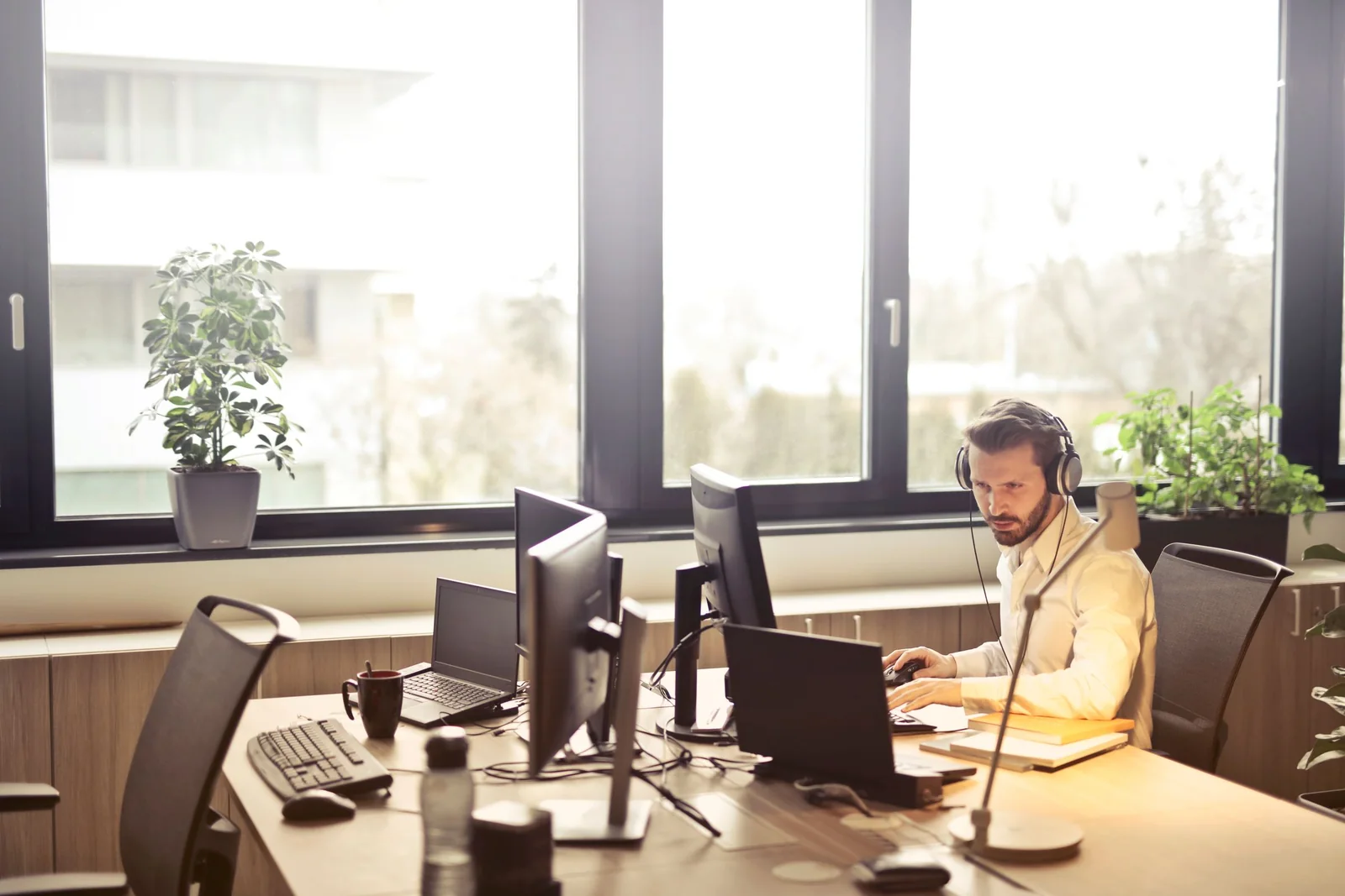 Screens on a desk in front of a big sunny window