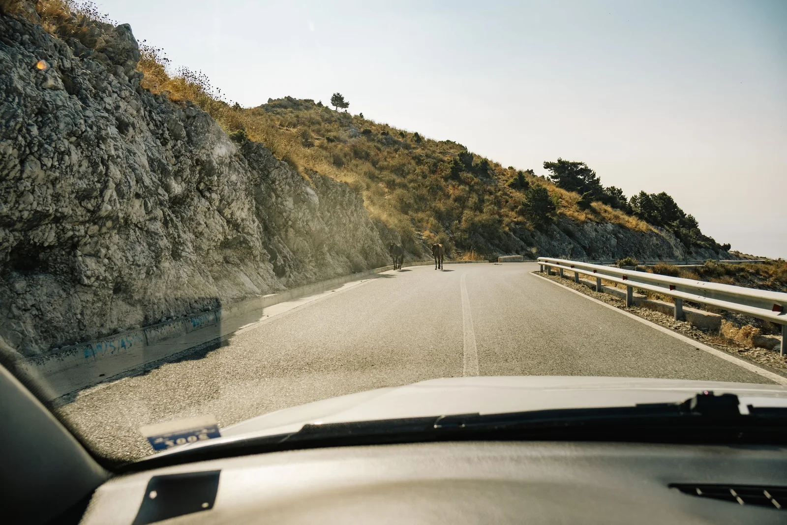 A bright mountain road seen through a car’s windshield